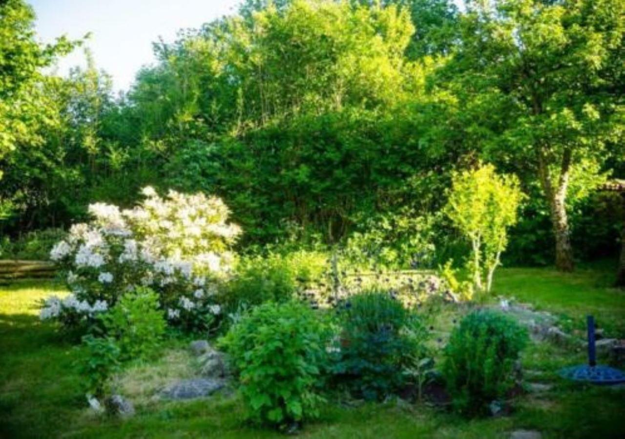 L'Embellie Bed & Breakfast Bertignat Екстериор снимка